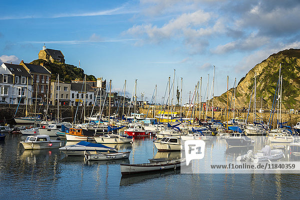 Boat harbour of Ifracombe  North Devon  England  United Kingdom  Europe