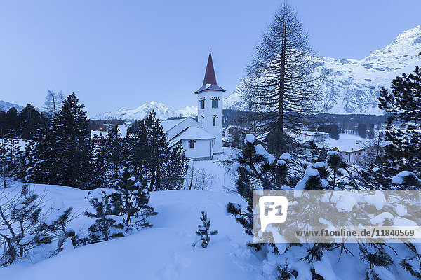 Blaue Lichter der Abenddämmerung auf der Chiesa Bianca umrahmt von verschneiten Bäumen  Malojapass  Engadin  Kanton Graubünden  Schweiz  Europa