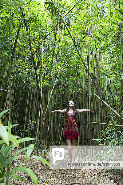 Kaukasische Frau steht im Bambuswald und schaut nach oben