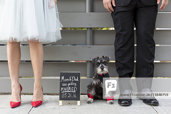Ehepaar mit Hund in der Nähe der Hochzeitsanzeige