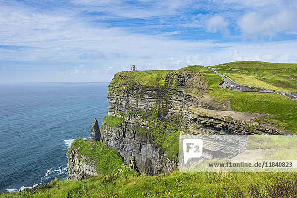 Cliffs of Moher  The Burren  Grafschaft Clare  Munster  Republik Irland  Europa