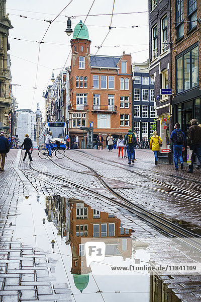 Überlegungen zu einem Regentag  Amsterdam  Niederlande  Europa