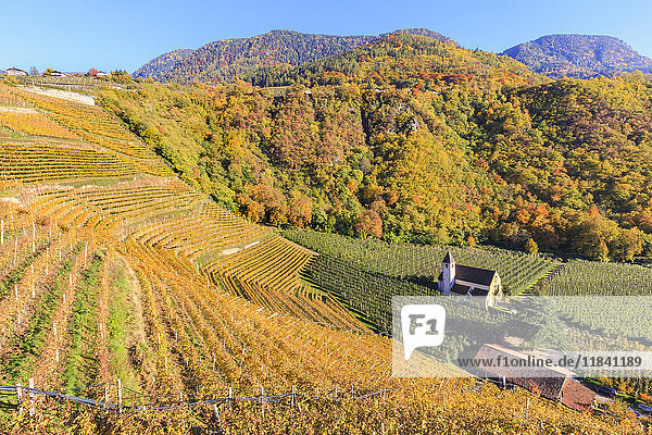 Blick auf die Kirche St. Valentin  umgeben von Herbstfarben  Meran  Vinschgau  Südtirol  Italien  Europa