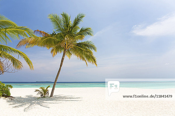 Tropische Strandszene  Coco Palm Resort  Dhuni Kolhu  Baa Atoll  Republik Malediven  Indischer Ozean  Asien