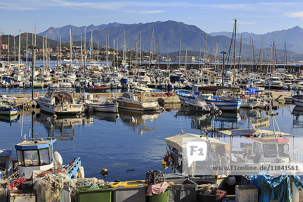 Old Port with fishing boats and yachts  view to distant mountains  Ajaccio  Island of Corsica  France  Mediterranean  Europe