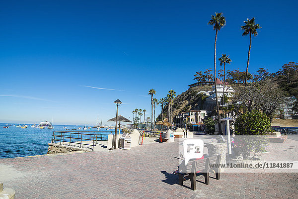 Das Hafenviertel von Avalon  Santa Catalina Island  Kalifornien  Vereinigte Staaten von Amerika  Nordamerika
