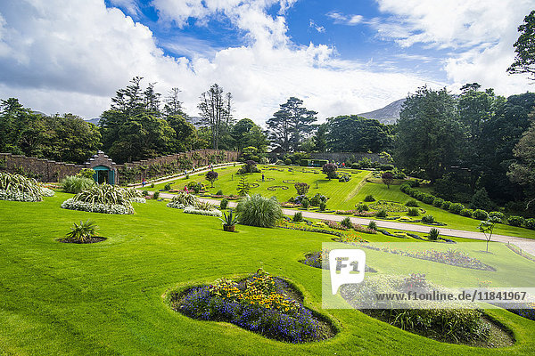 Walled Victorian garden in Kylemore Abbey  Connemara National Park  County Galway  Connacht  Republic of Ireland  Europe