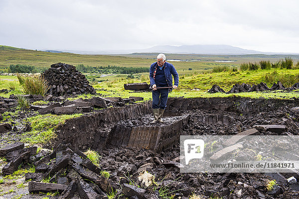Blocks of peat cut out on a traditional farm  Connemara National Park  County Galway  Connacht  Republic of Ireland  Europe