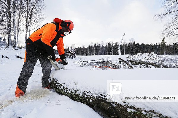 Holzfäller beim Schneiden von Baumstämmen mit der Kettensäge im Winter