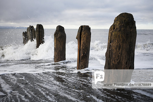 Wellen plätschern gegen hölzerne Gezeitenpfähle in der Kachemak Bay; Alaska  Vereinigte Staaten von Amerika'.