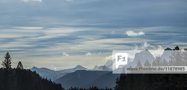 Weitwinkelansicht einer Winterlandschaft mit felsigen Berggipfeln entlang der Autobahn im Banff-Nationalpark  mit nebligen Tageswolken am Horizont und der Silhouette von Bäumen im Vordergrund; Lake Louise  Alberta  Kanada'.