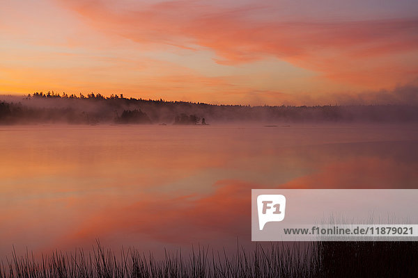 Nebeliger Herbstmorgen am Millers Lake; Nova Scotia  Kanada'.