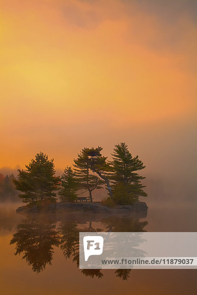 Sonnenaufgangsfarben mit Herbstmorgennebel am Dollar Lake  Dollar Lake Provincial Park; Nova Scotia  Kanada'.