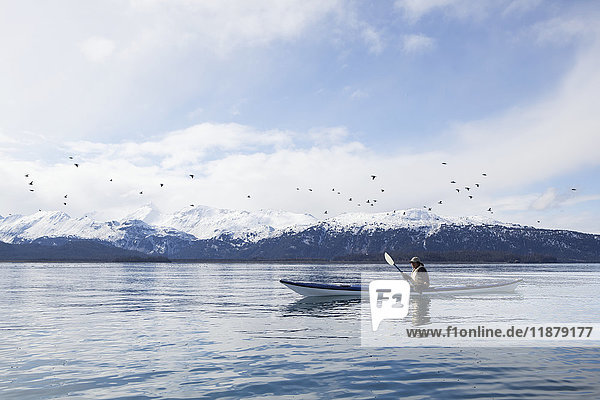 Paddeln in einem Kanu auf ruhigem Wasser mit einem Schwarm Vögel  die über dem Wasser fliegen  und einem Blick auf die schneebedeckten Kenai Mountains  Kachemak Bay State Park; Alaska  Vereinigte Staaten von Amerika'.