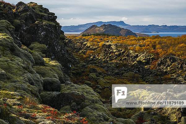 Die Herbstfarben im Thingvellir-Nationalpark; Island'.