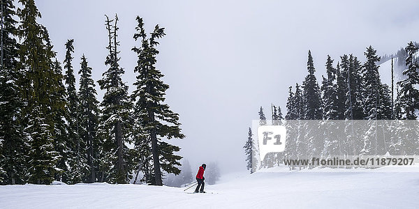 Ein Skifahrer in einem roten Mantel fährt durch die Wolken in den verschneiten Bergen; Whistler  British Columbia  Kanada'.