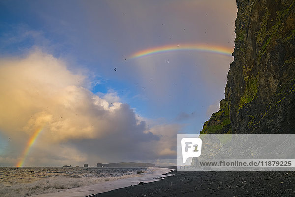 'The sea stacks known as Reynisdrangar with waves at sunrise and thousands of birds flying in the air with a rainbow South Coast; Iceland'