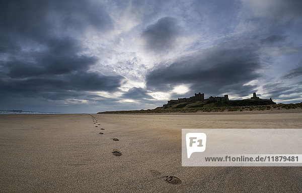 'A single set of footprints on the beach with Bamburgh Castle in the background; Bamburgh  Northumberland  England'