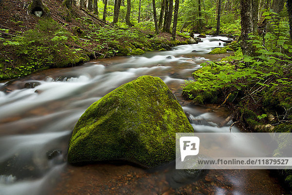 Hart Lake Brook  Wentworth Valley; Neuschottland  Kanada .