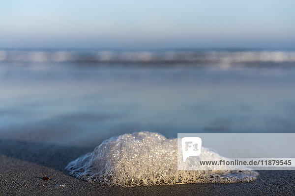 'Close-up of a small mound of foam on the wet sand with a view of the surf  water and horizon; Bamburgh  Northumberland  England'