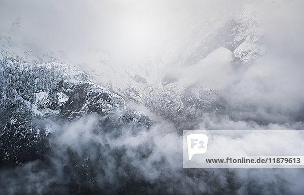 'Misty mountains of Golden Ears Provincial Park; British Columbia Canada'