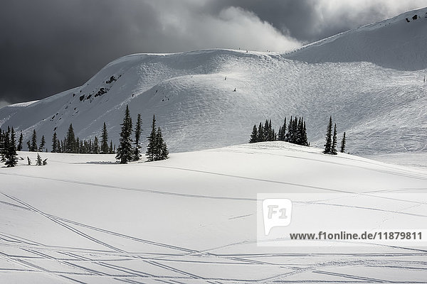 Skispuren im Schnee in den Rocky Mountains; Whistler  British Columbia  Kanada'.