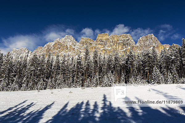Zerklüfteter schneebedeckter Berg mit schneebedeckten immergrünen Bäumen  Schatten von immergrünen Bäumen im Vordergrund mit blauem Himmel und bauschigen Wolken; Banff  Alberta  Kanada'.