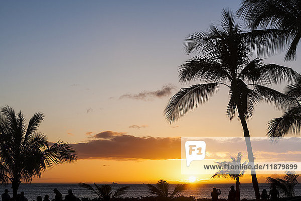Silhouettierte Palmen und Touristen an der Küste mit Blick auf einen goldenen Sonnenuntergang und den ruhigen Ozean; Hawaii  Vereinigte Staaten von Amerika'.
