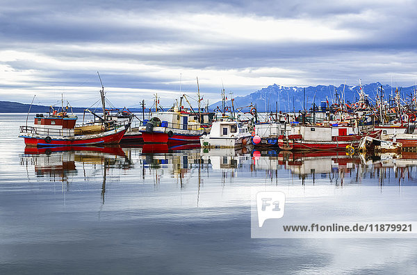 Fischerboote in einem Hafen  chilenisches Patagonien; Puerto Natales  Ultima Esperanza  Chile'.