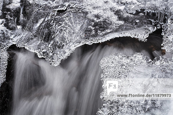 Ein kleiner Wasserfall und Eis Anfang März  Horse Pasture Brook  ein geschütztes Wildnisgebiet; Wentworth Valley  Nova Scotia  Kanada'.