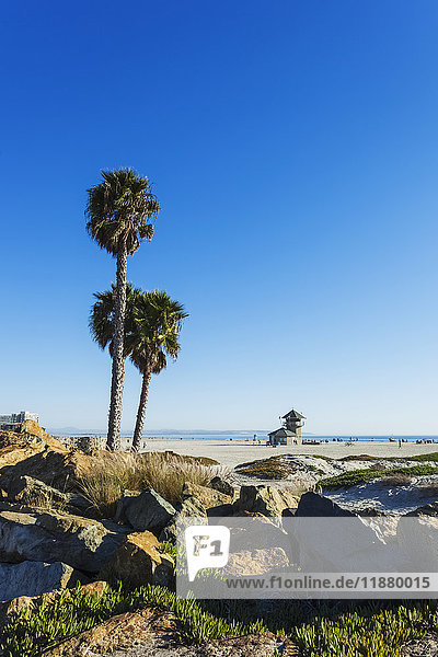 Palmen und Felsen am Strand mit Blick auf den Ozean; Kalifornien  Vereinigte Staaten von Amerika'.