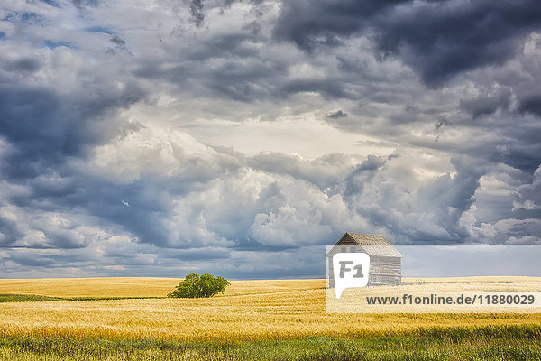 'Abandoned building along the roads of rural Saskatchewan; Saskatchewan Canada'