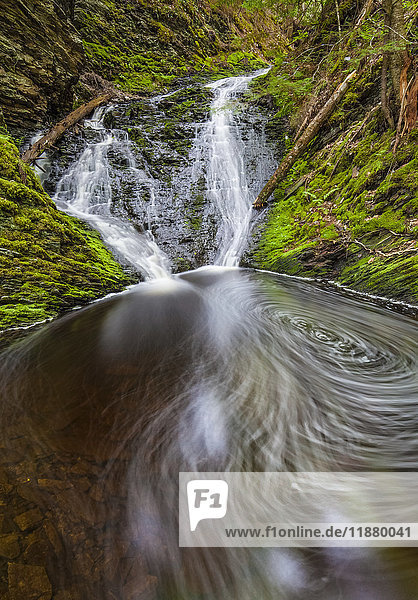 Wasserfall und Tümpel in einer moosbewachsenen Waldschlucht im Frühling am Old Sanford Brook bei West Gore; Nova Scotia  Kanada'.