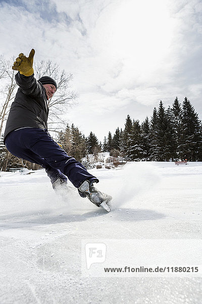 Männchen gleitet auf Schlittschuhen mit Eisspray zum Stillstand; Calgary  Alberta  Kanada'.