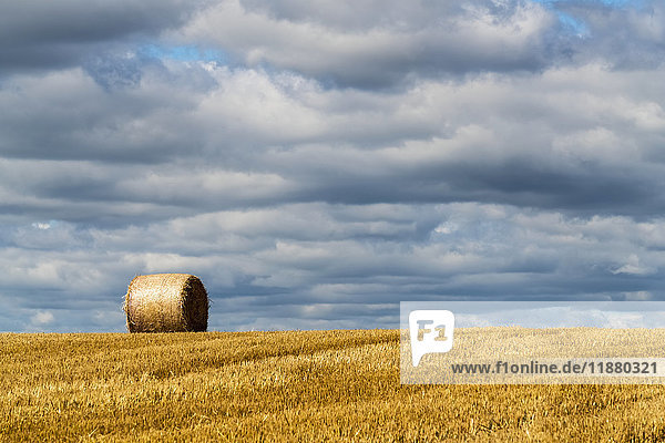 A single hay bale on a cut field under a cloudy sky; Ravensworth  North Yorkshire  England