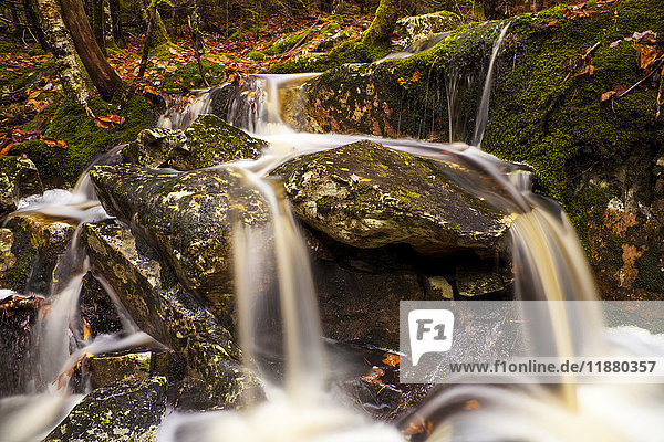 Kleiner Wasserfall im Wald im Herbst; Bedford  Nova Scotia  Kanada'.