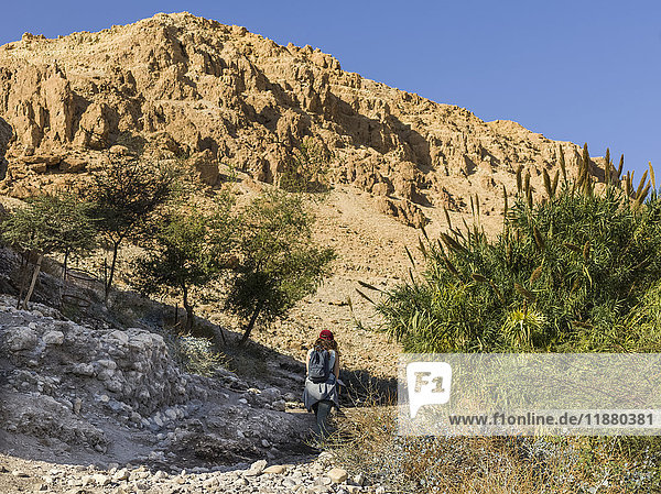 'A young woman walks on a trail through the rugged hills of Ein Gedi Nature Reserve Dead Sea District; South Region Israel '