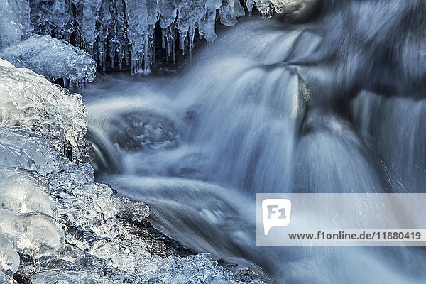 Eiszapfen und blau schattierte Kaskaden an einem kleinen Wasserfall; Enfield  Nova Scotia  Kanada