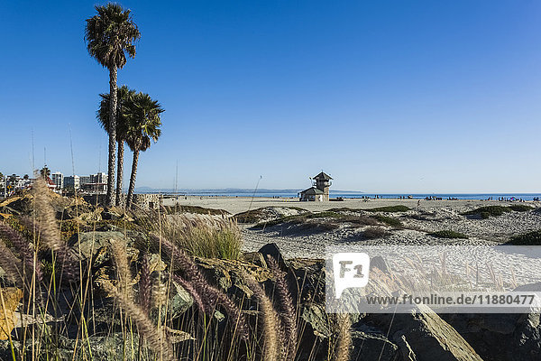 Palmen und Felsen am Strand mit Blick auf den Ozean; Kalifornien,  Vereinigte Staaten von Amerika'.