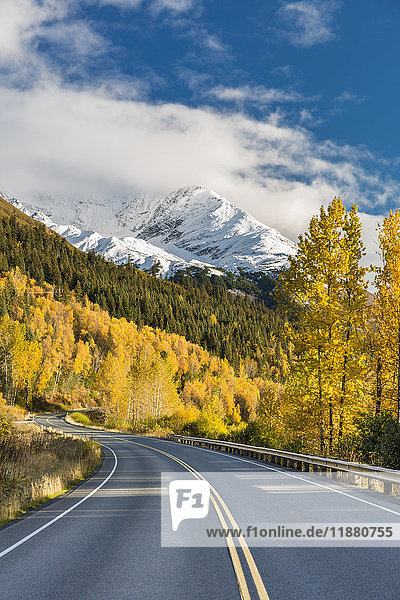 'Snow-capped Kenai Mountains dwarf the Seward highway  trees covered in yellow leaves in autumn line the road  South-central Alaska; Seward  Alaska  United States of America'
