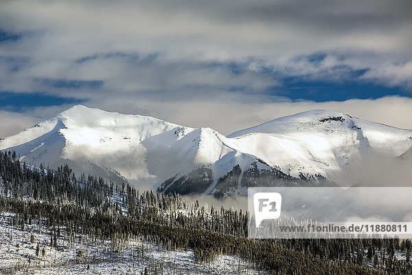 Schneebedeckter Berg mit vereisten immergrünen Bäumen am Hang mit Wolken im Tal und blauem Himmel; Radium Hot Springs  British Columbia  Kanada'.
