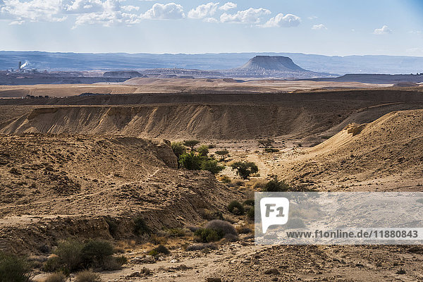 Trockene Landschaft der Negev-Wüste; Har Hanegev Hatzfoni  Südbezirk  Israel .