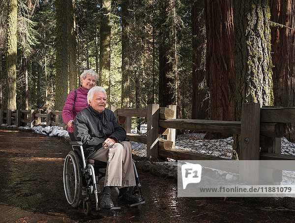 Ältere Frau schiebt Ehemann im Rollstuhl durch den Wald im Sequoia-Nationalpark  Kalifornien  USA