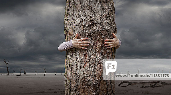 Frau umarmt Baum  Abbabis  Hardap  Namibia  Afrika