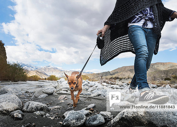Nackenansicht einer Frau  die mit ihrem Hund auf einem felsigen Flussbett spazieren geht