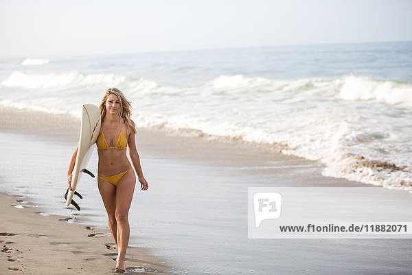 Porträt einer jungen Surferin im Bikini  die ein Surfbrett am Strand entlang trägt  Santa Monica  Kalifornien  USA