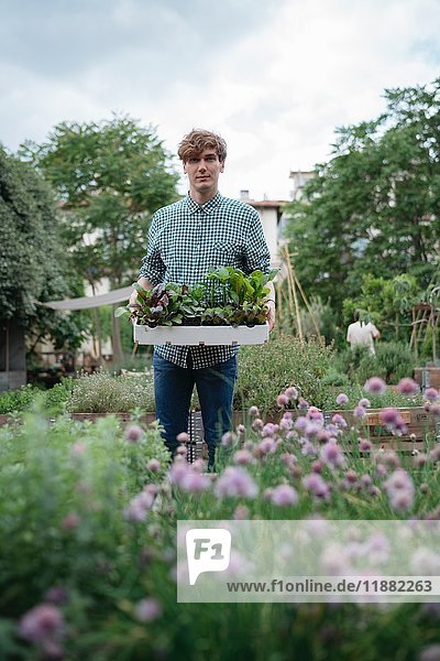 Mann im Garten hält Pflanzentablett