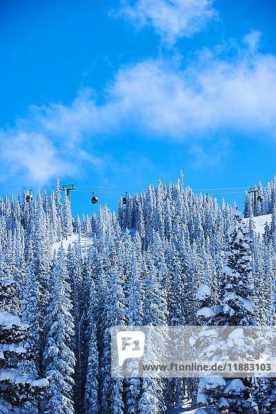 Seilbahn über bewaldete schneebedeckte Berge  Aspen  Colorado  USA
