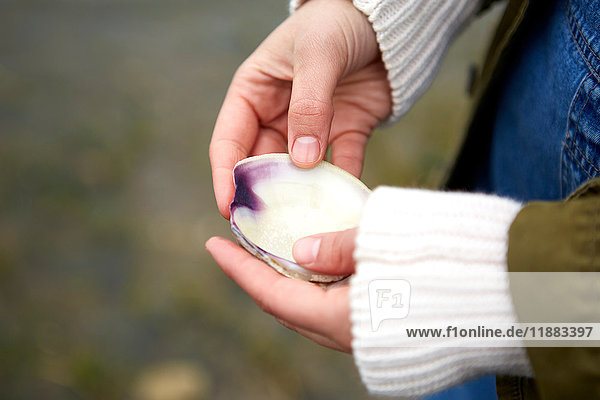 Close up of woman's hands holding seashell