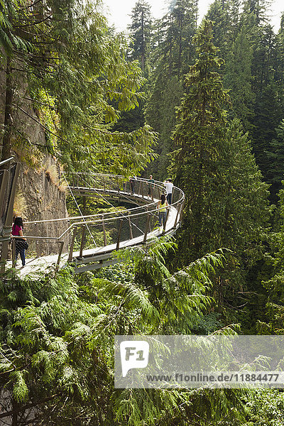 'Tourists walking on the Capilano Suspension Bridge; Vancouver  British Columbia  Canada'